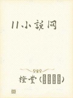 11小说网