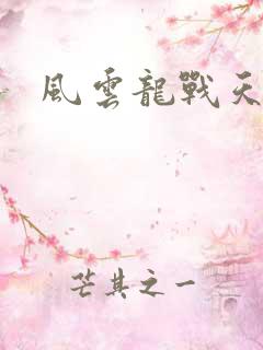 风云龙战天下