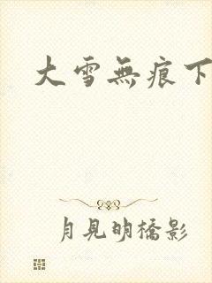 大雪无痕下载