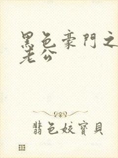 黑色豪门之王子老公