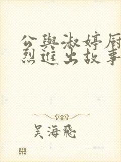 公与淑婷厨房猛烈进出故事