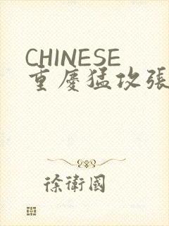 CHINESE重庆猛攻张先生