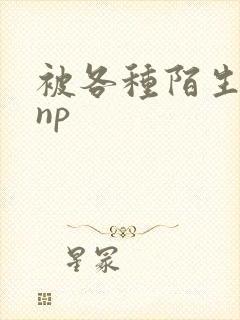 被各种陌生人 np