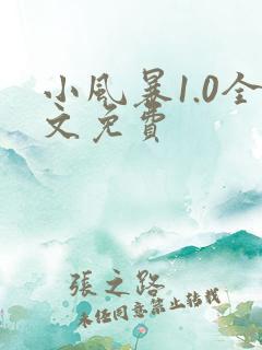 小风暴1.0全文免费