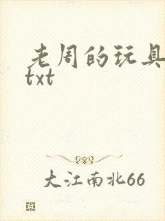 老周的玩具日记txt
