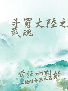 斗罗大陆之三生武魂