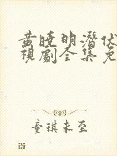 黄晓明潜伏者电视剧全集免费观看