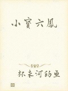 小宝六凤