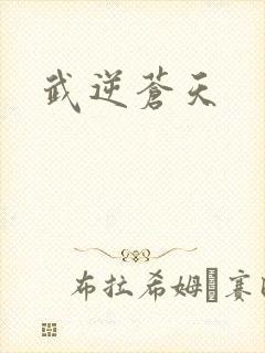 武逆苍天