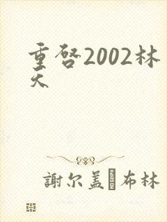 重启2002林天