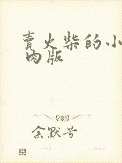 卖火柴的小男孩 肉版