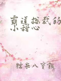 霸道总裁的宠爱小甜心