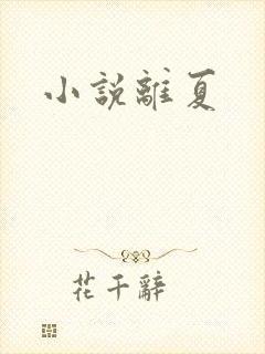 小说离夏