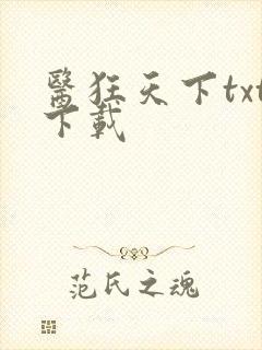 医狂天下txt下载