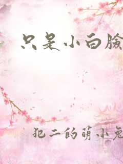 只是小白脸