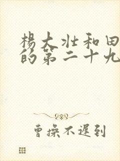 杨大壮和田桂花的第二十九