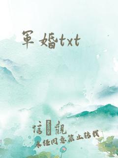 军婚txt