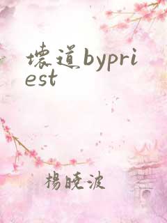 坏道bypriest