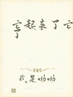 它起来了它想你了