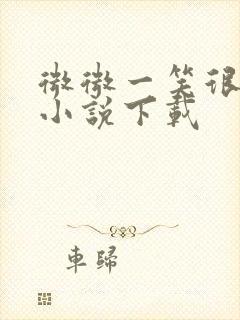 微微一笑很倾城小说下载