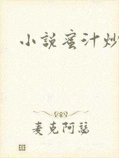 小说蜜汁炒鱿鱼