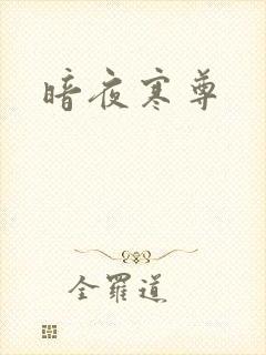 暗夜寒尊