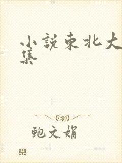 小说东北大炕全集