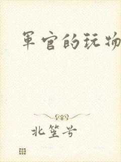 军官的玩物