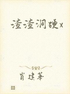 渣渣洞硬x