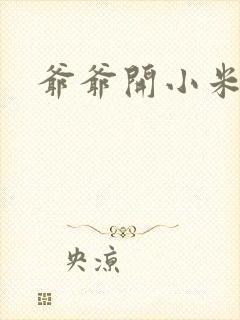 爷爷开小米的处