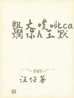 粗大噗呲cao烂你h王默