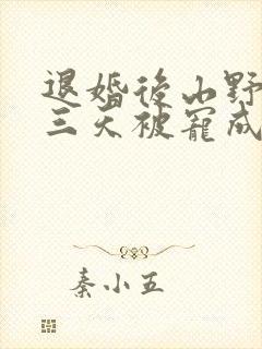 退婚后山野糙汉三天被宠成宝小说