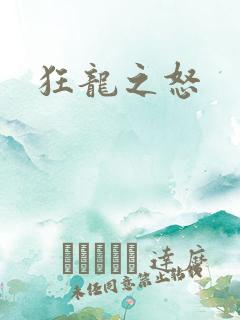 狂龙之怒