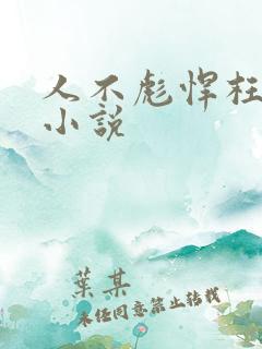 人不彪悍枉少年小说