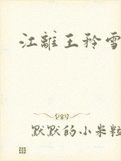 江离王矜雪小说