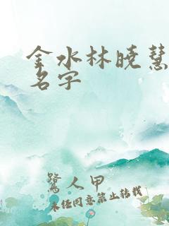 金水林晓慧小说名字