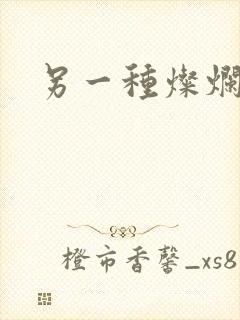 另一种灿烂生活