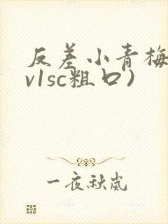 反差小青梅(1v1sc粗口)