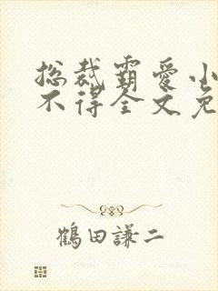 总裁霸爱小妻惹不得全文免费阅读