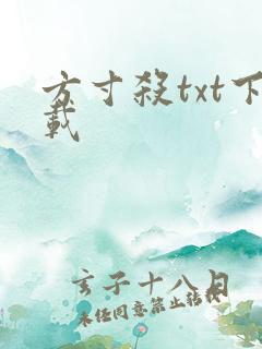 方寸杀txt下载