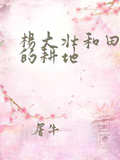 杨大壮和田桂花的耕地