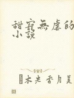 甜宠无虐的军婚小说