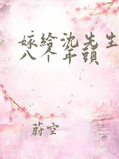 嫁给沈先生的第八个年头