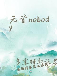 元首nobody