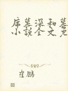 席慕深和慕清泠小说全文免费阅读