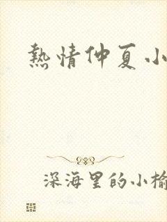 热情仲夏小说