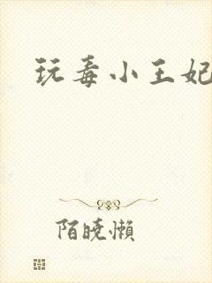玩毒小王妃