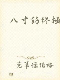 八寸的终极凶器