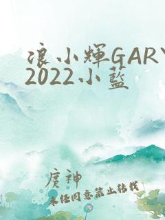 浪小辉GARY2022小蓝