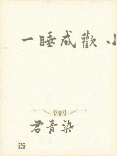 一睡成欢 小说